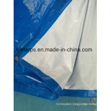 Finished Blue/White PE Tarpaulin Sheet, Polyethylene Tarpaulin